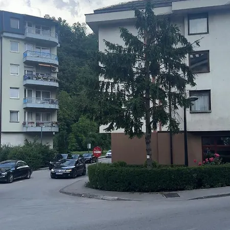 Golden Travnik